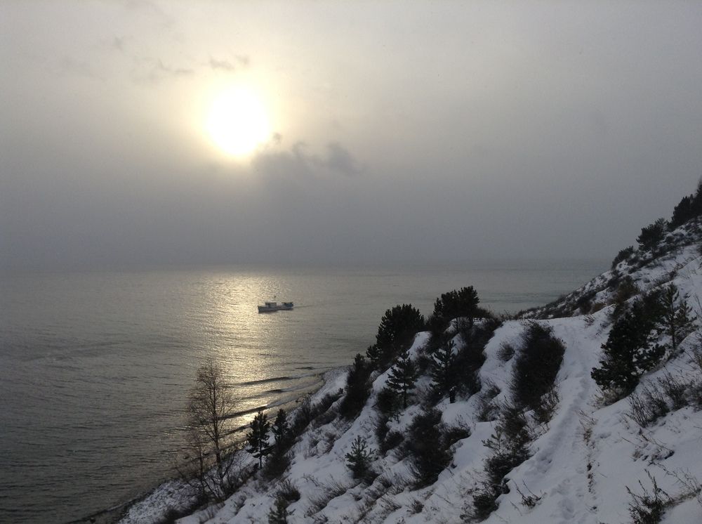 Photo #8372030