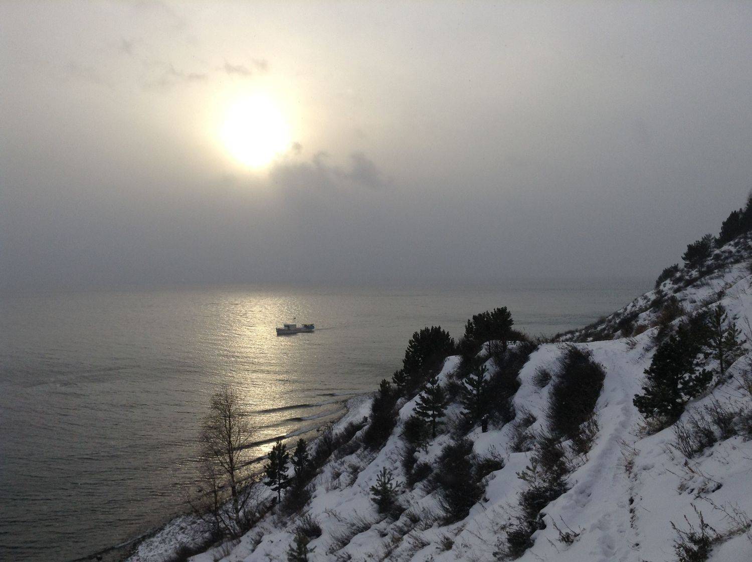 Photo #8372030