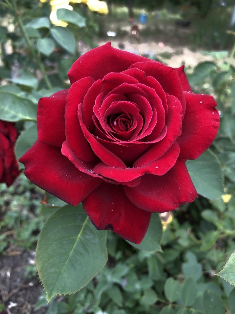 Photograph by Анастасия Волошина