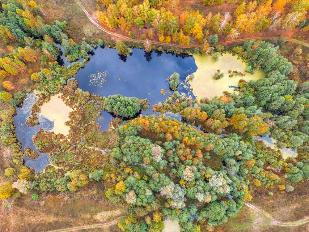 Photograph by Ксения Илюшина