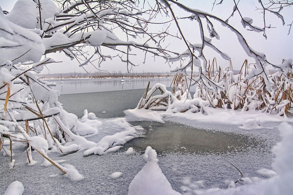 Снежная нежность