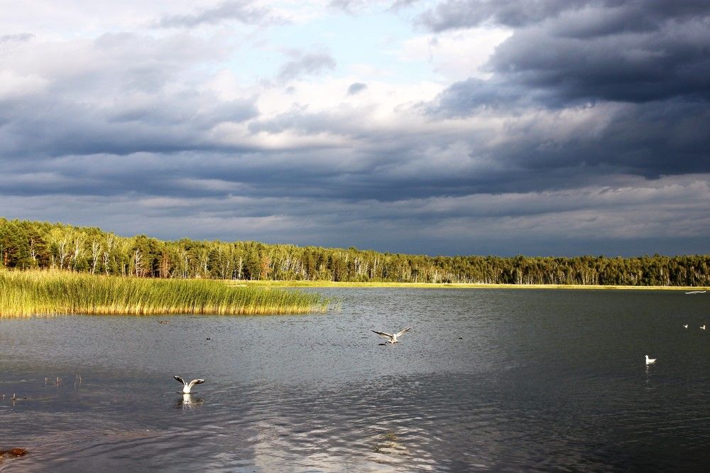 Озеро Подборное.