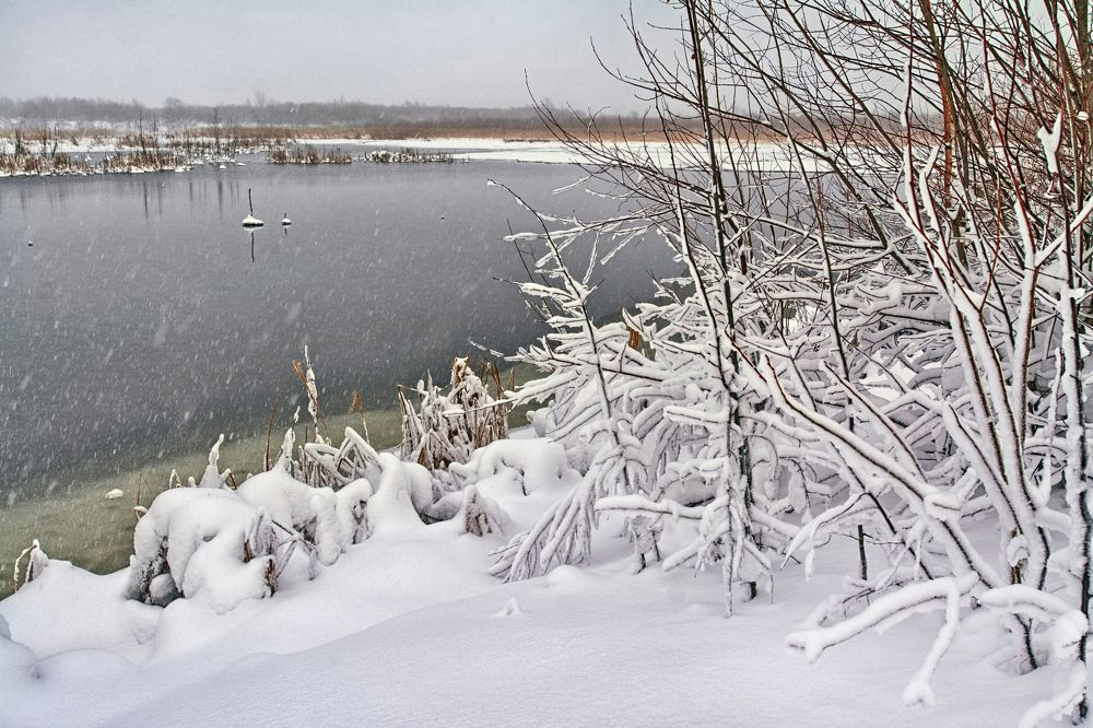 Photograph by Юрий Митенёв