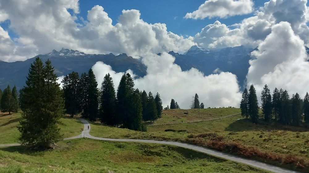 Фотография автора Elena Burgstaller