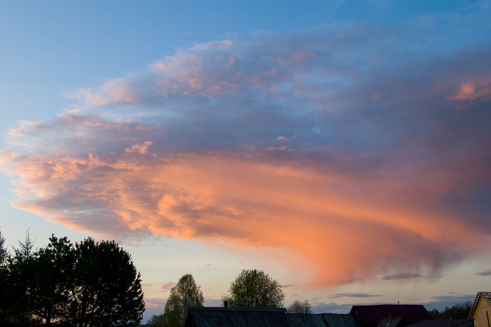 Photograph by Nikita Oshvintsev