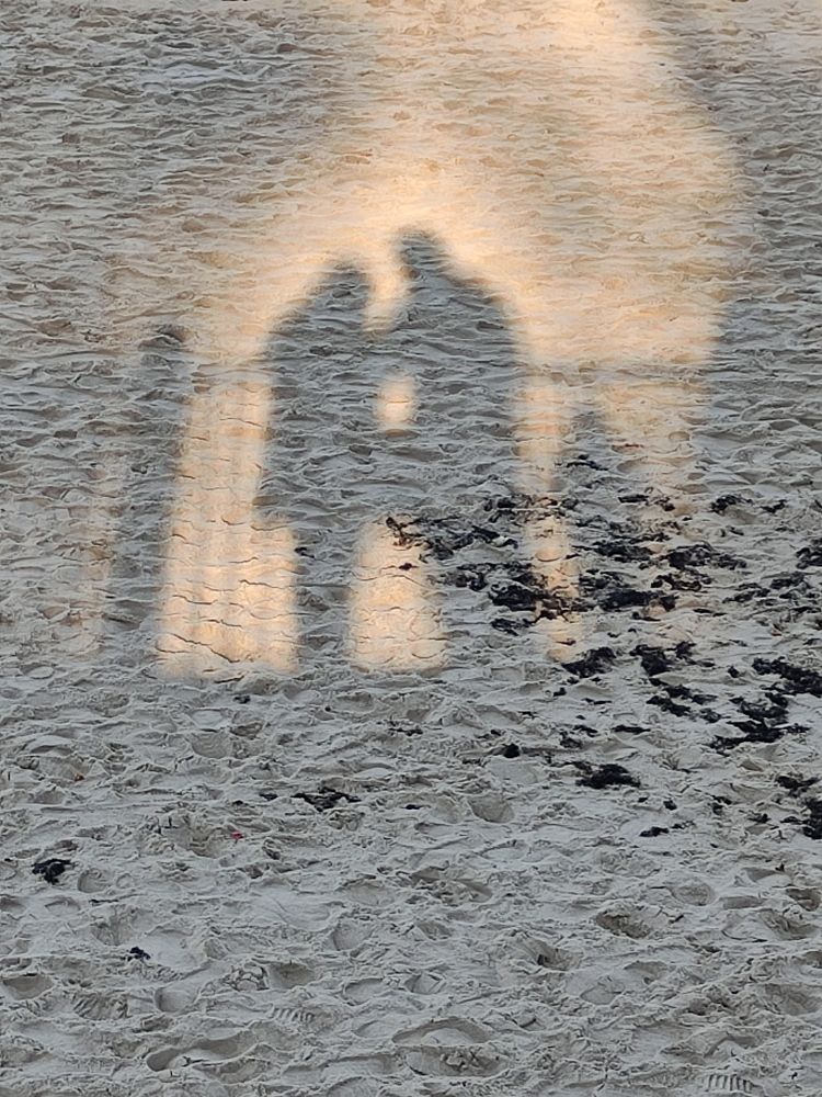 Photograph by Светлана Холодова