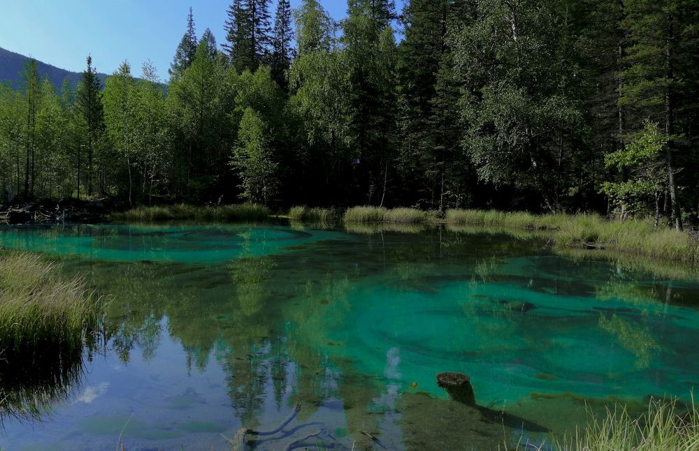 Photograph by Yuliya Salnikova