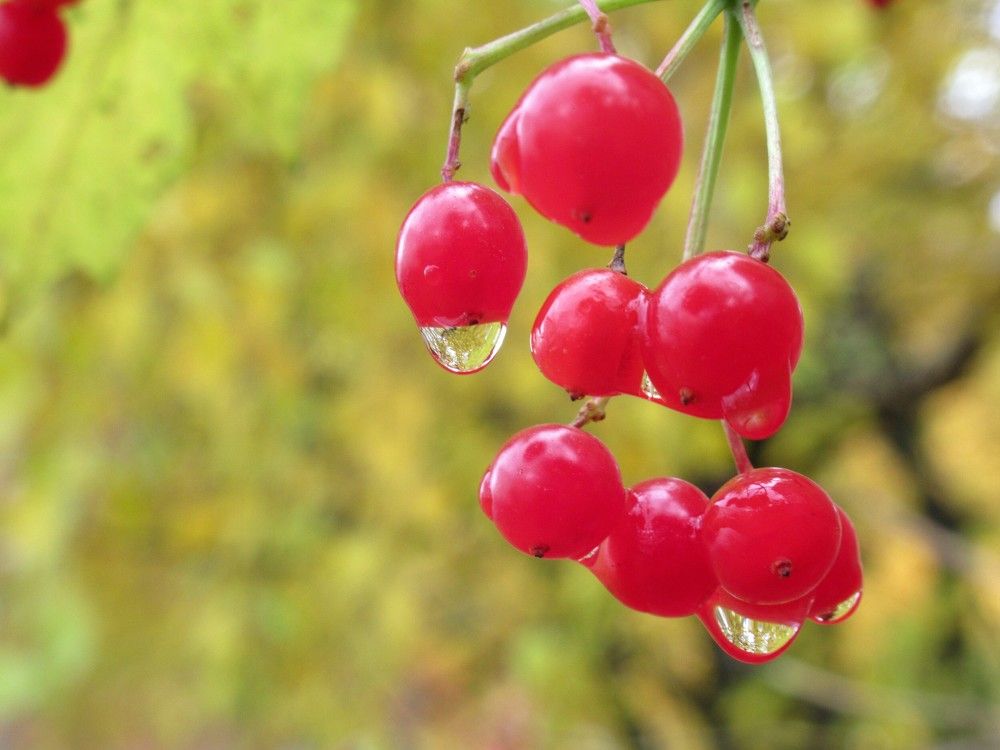 Photograph by Ольга Березовская