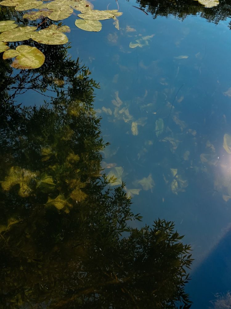 Photograph by Анна Леонова