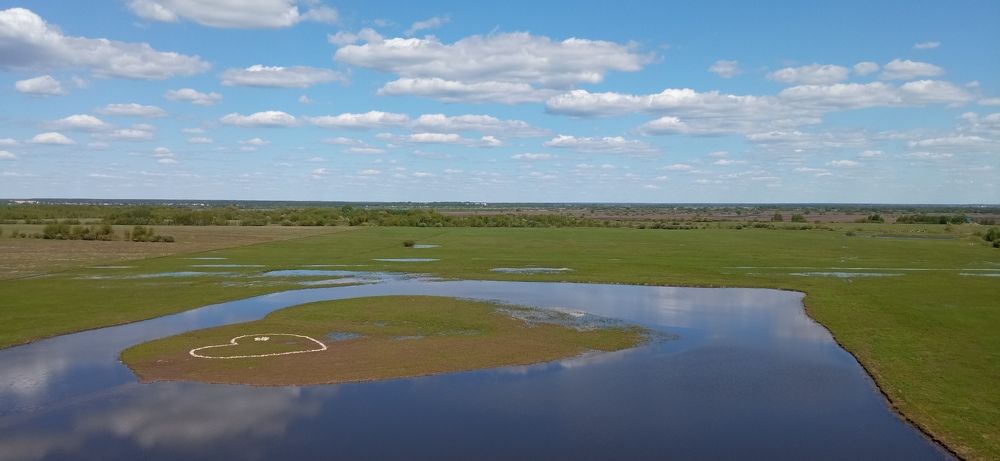 Фотография автора Юлия Нижура