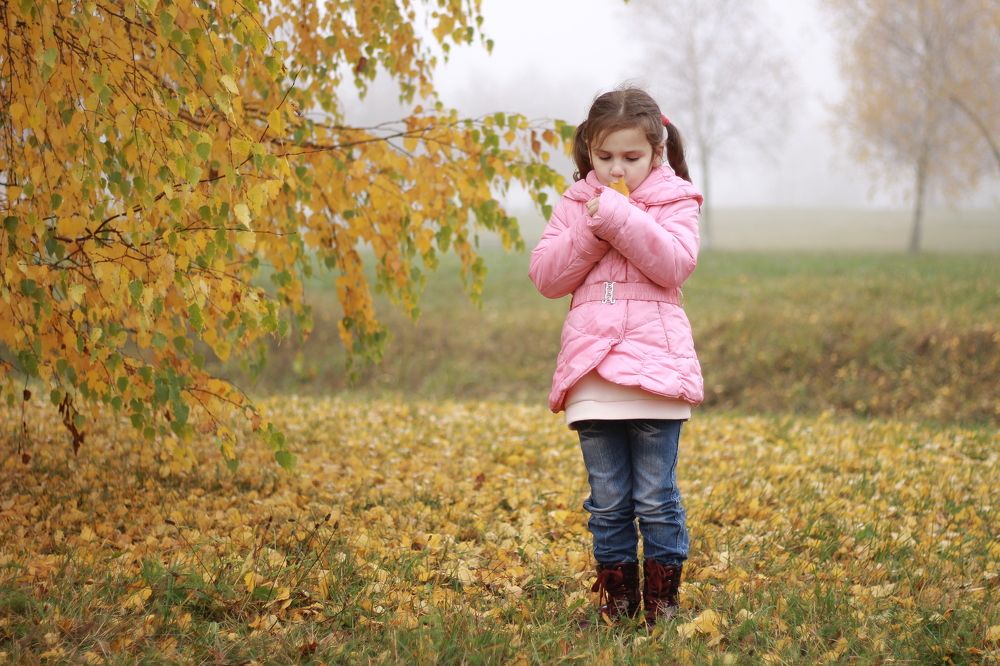 Фотография автора Алла Макаревич