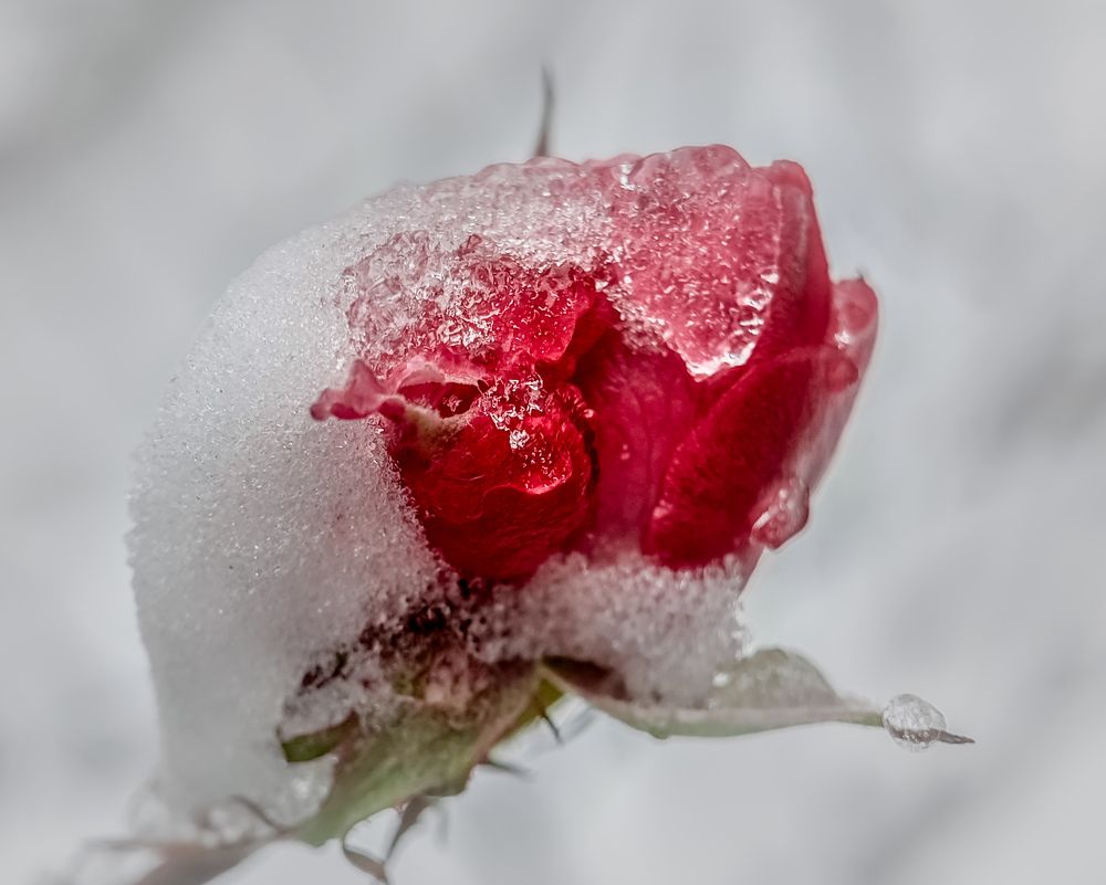 Photograph by Лариса Когтева