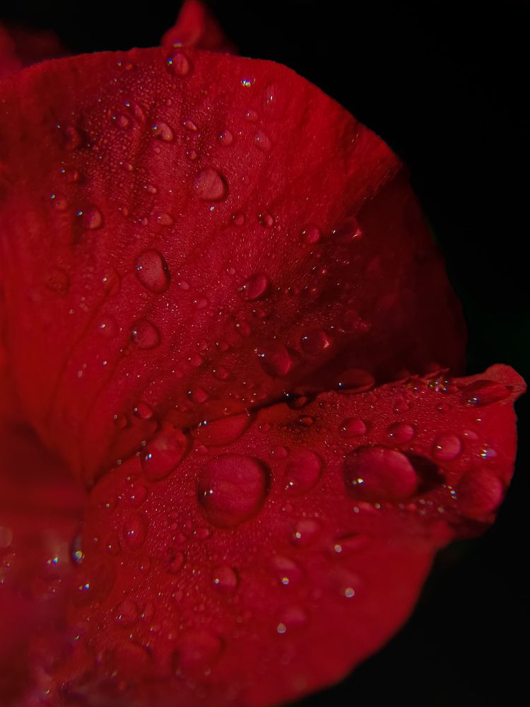 Photograph by Лариса Когтева