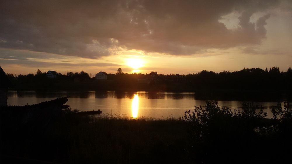 Photo #8372445