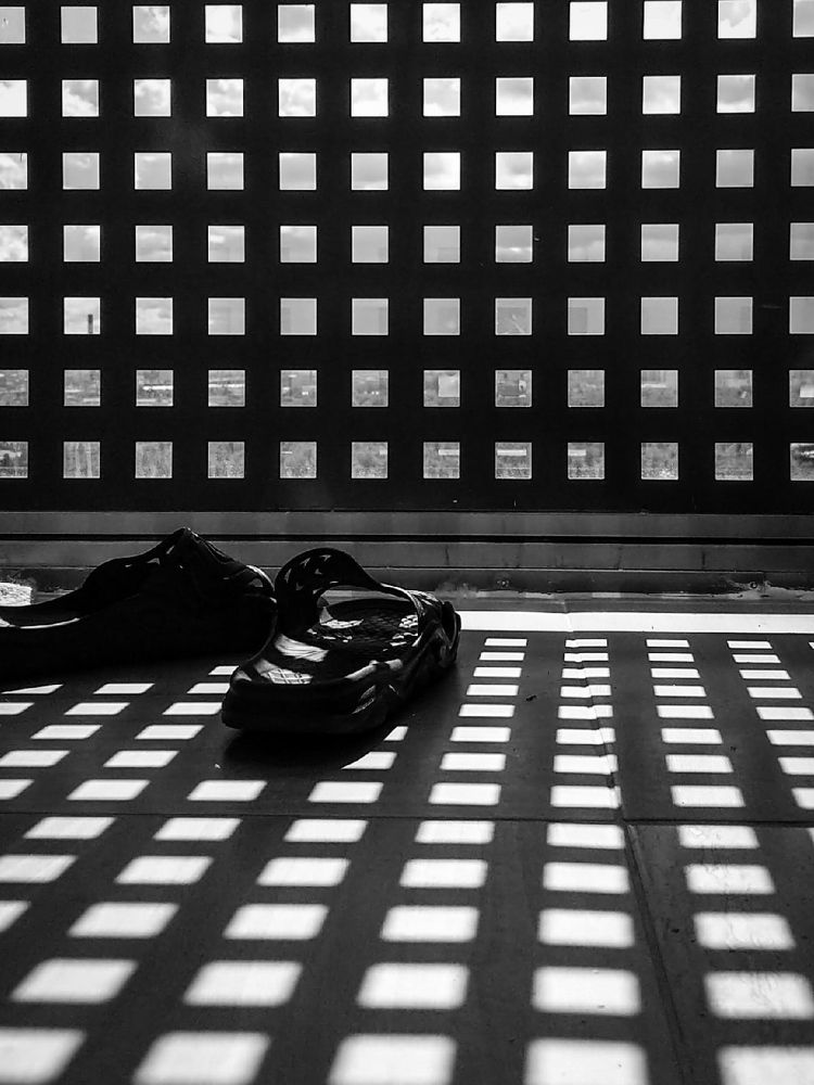 Photograph by Дарья Макаревич