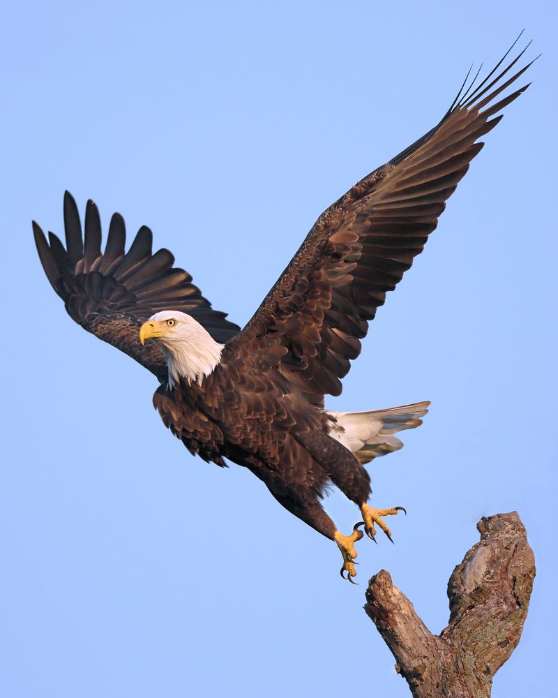 Фотография автора Mark Cavanah