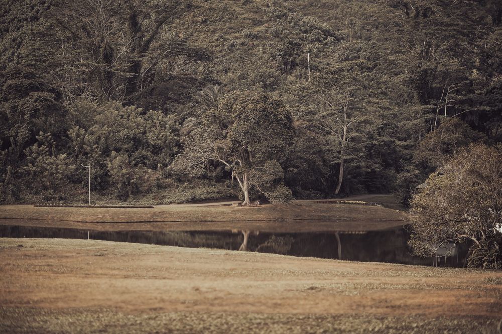 Photograph by Sachi Dissanayaka