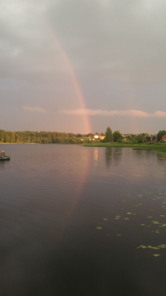 Photo #8372520