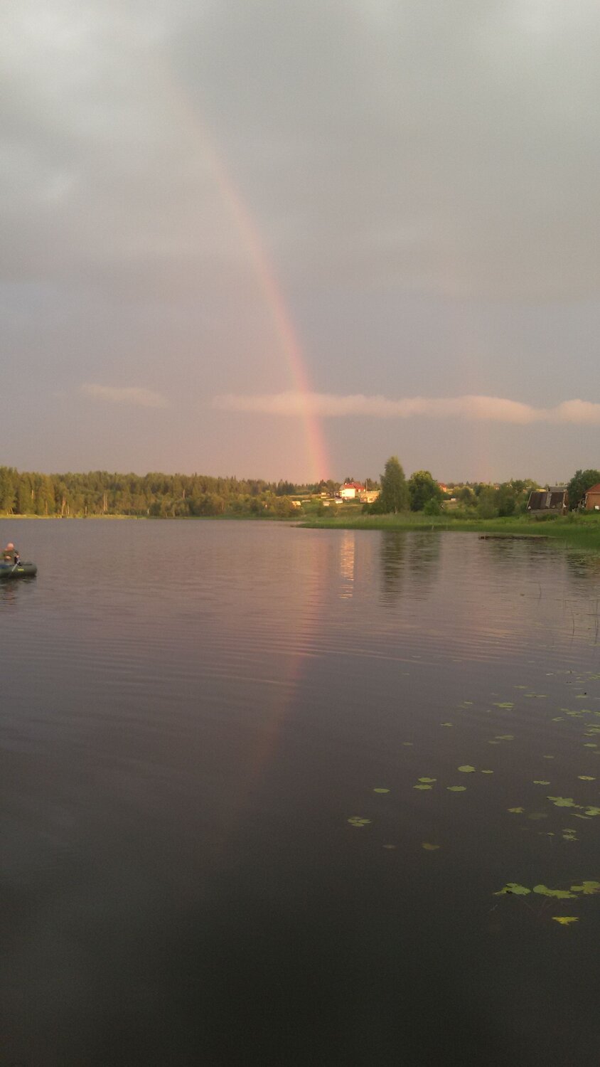Photo #8372520