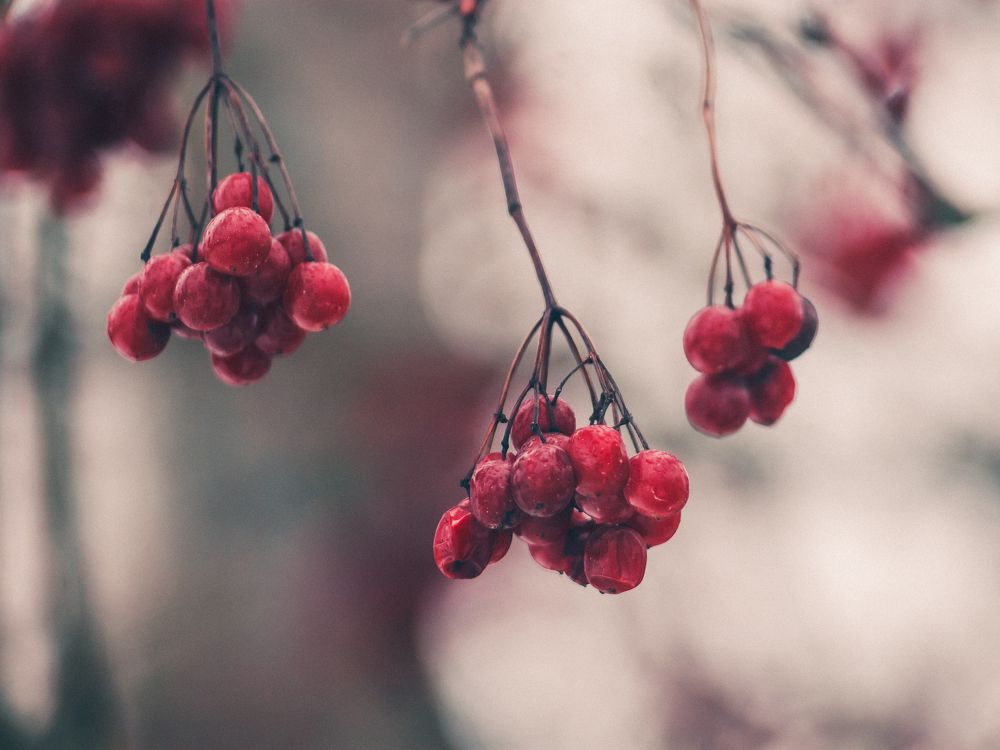 Photograph by z14photo