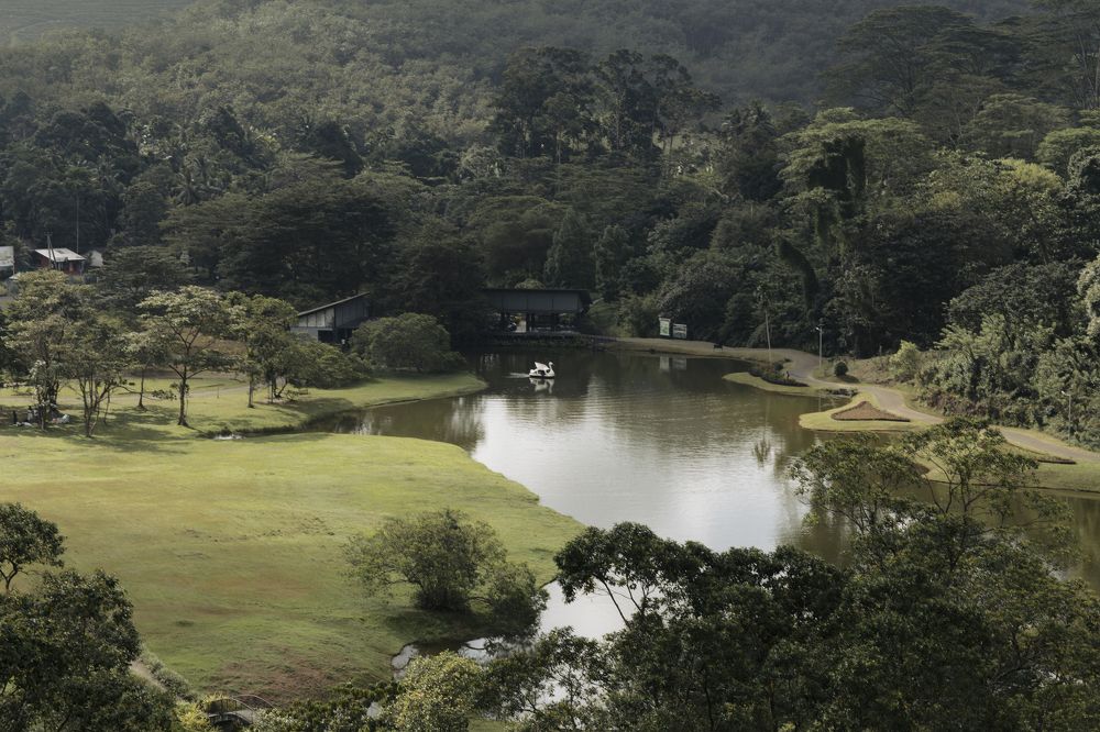 Photograph by Sachi Dissanayaka