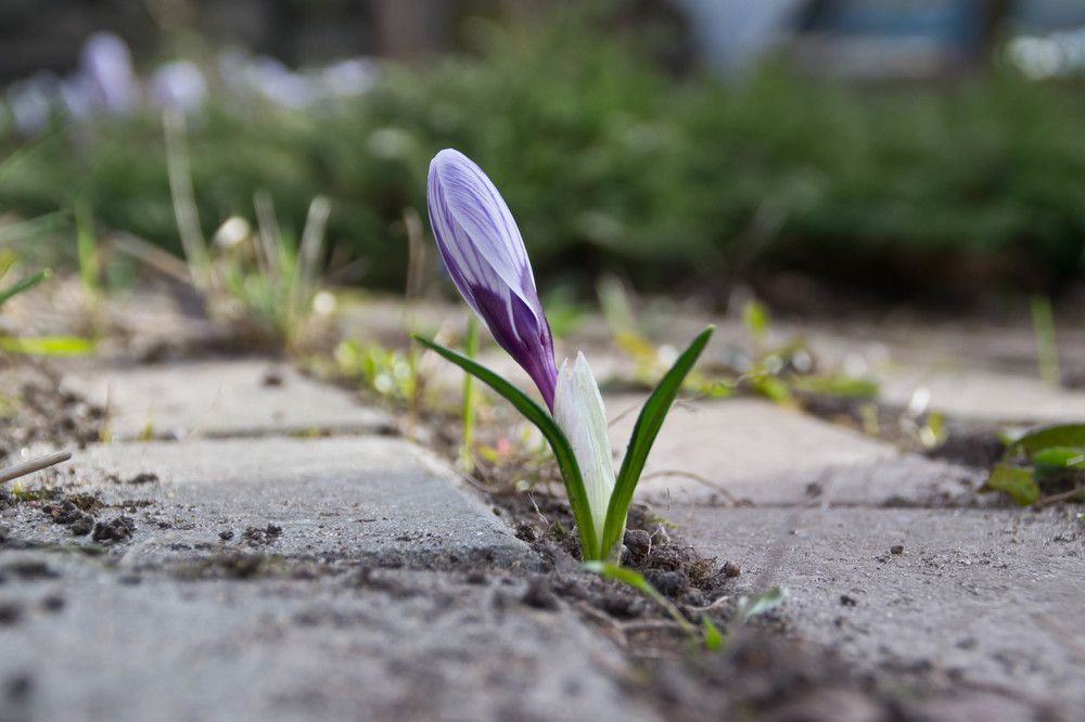 Фотография автора Юлия Кранина