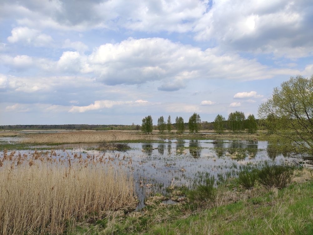 Photograph by Алёна