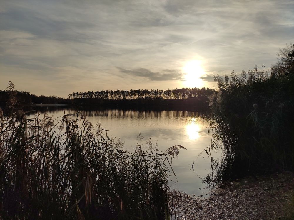 Photograph by Алёна
