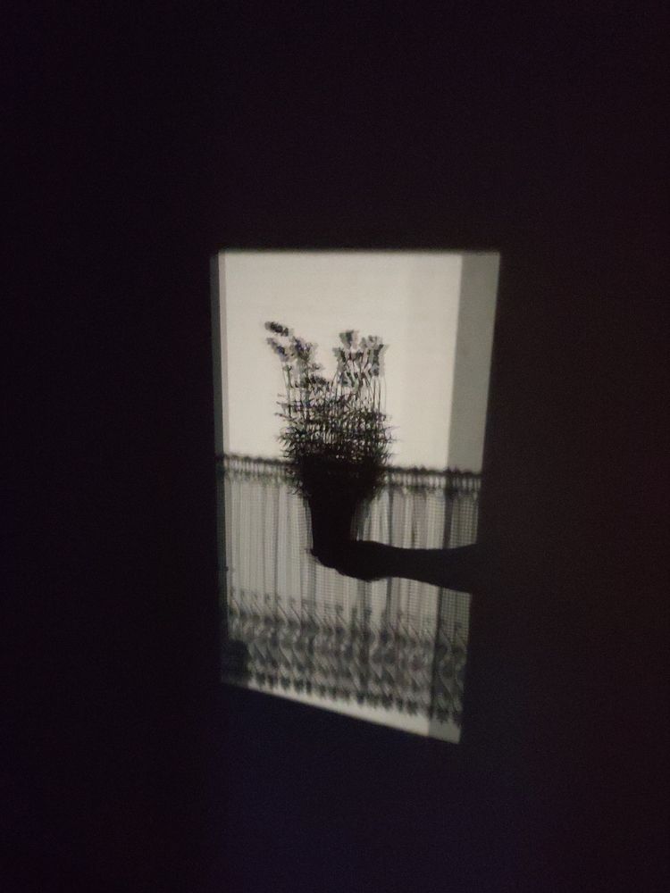 Photograph by Алёна