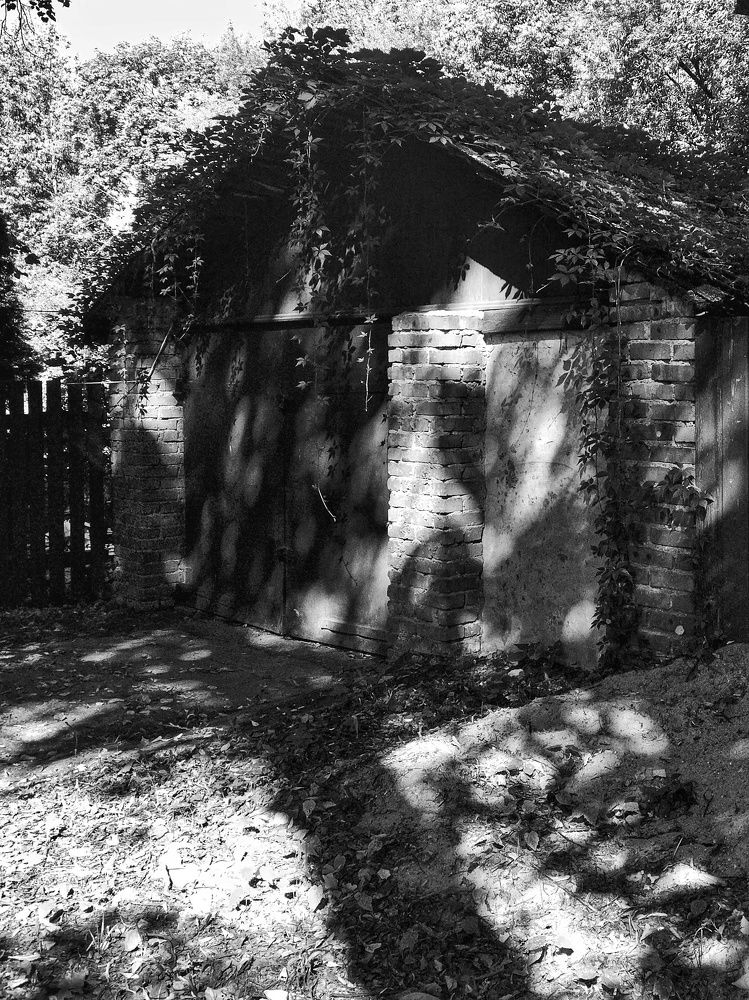 Photograph by Николай