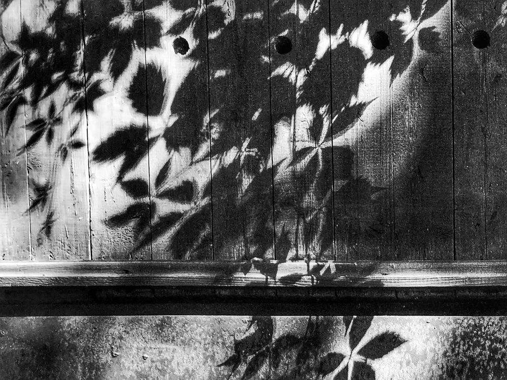 Photograph by Николай