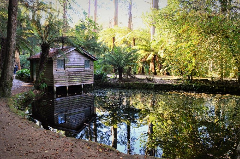 Photograph by Natalia Vostrikova