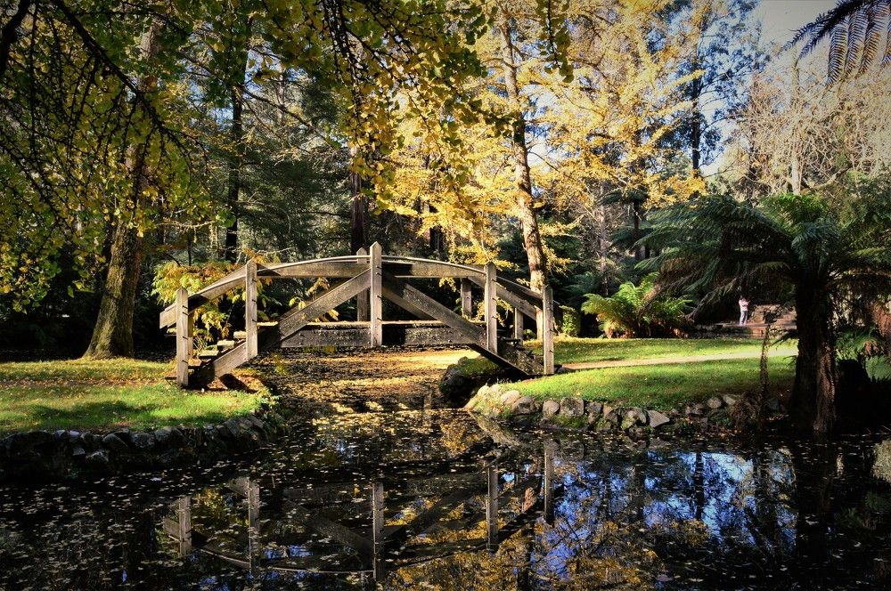 Photograph by Natalia Vostrikova