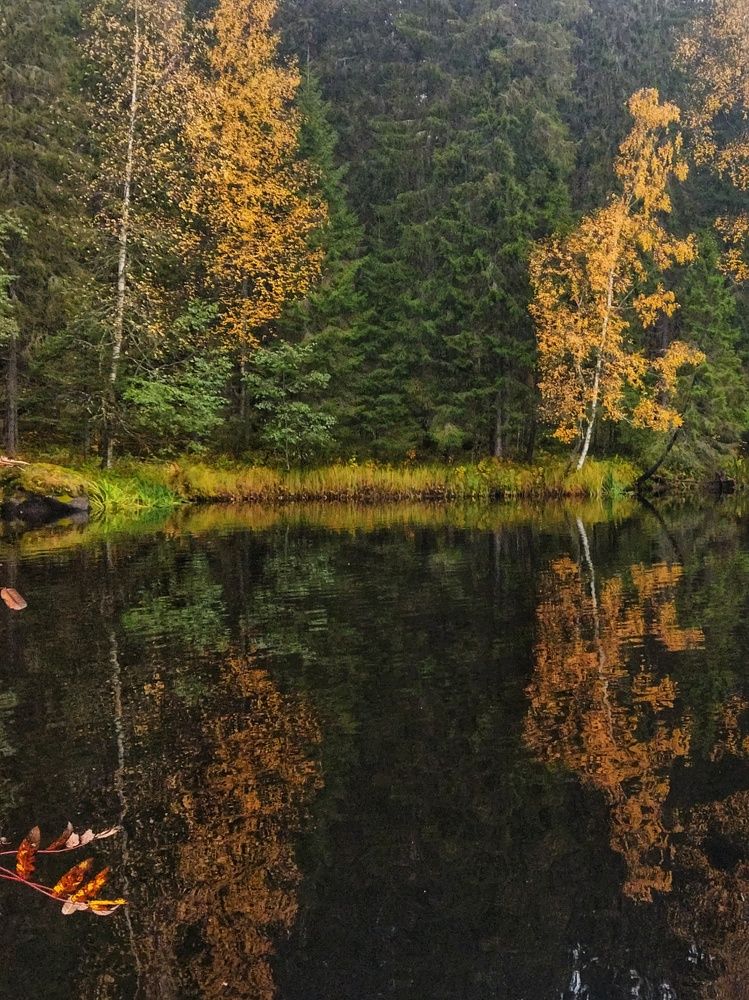 Photograph by Николай