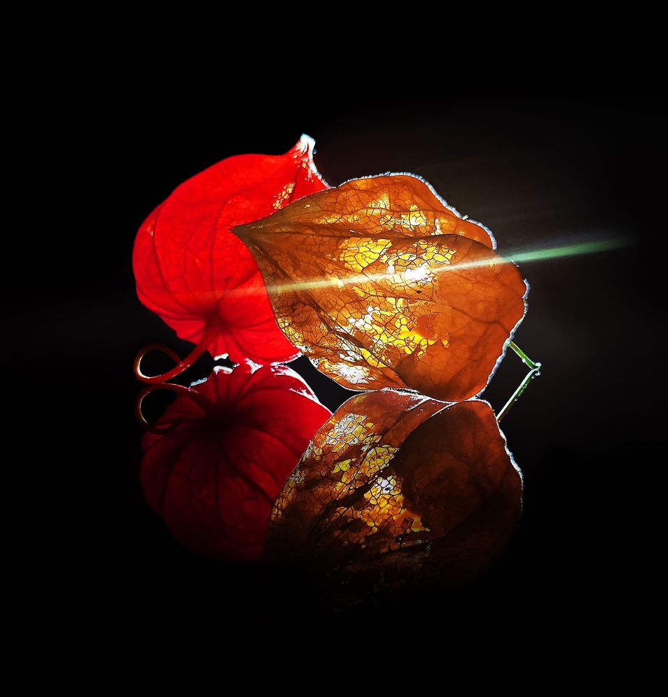 Photograph by Анастасия