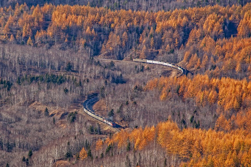 Photograph by Максим Тыщенко