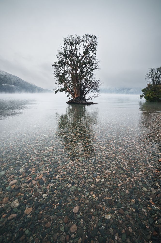 Photograph by Alejandra Heis