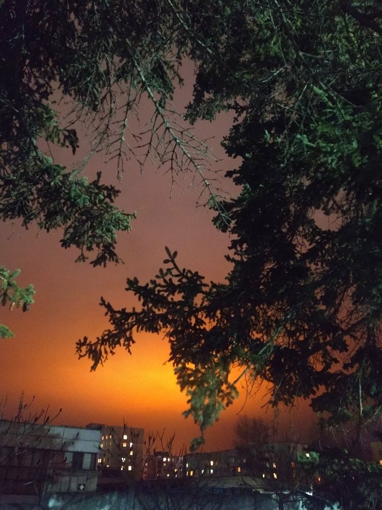 Фотография автора Гвоздецкая Анна