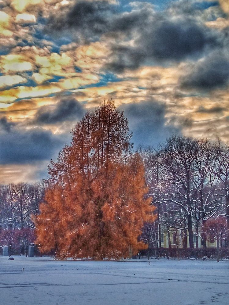 Photograph by Ирина Шилина