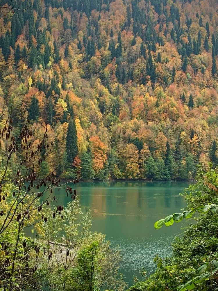 Photograph by Татьяна Семёнова