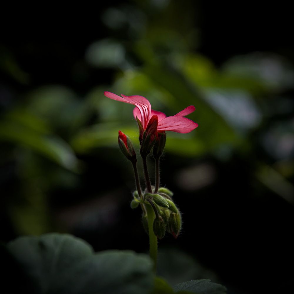 Photograph by Елена Ласун