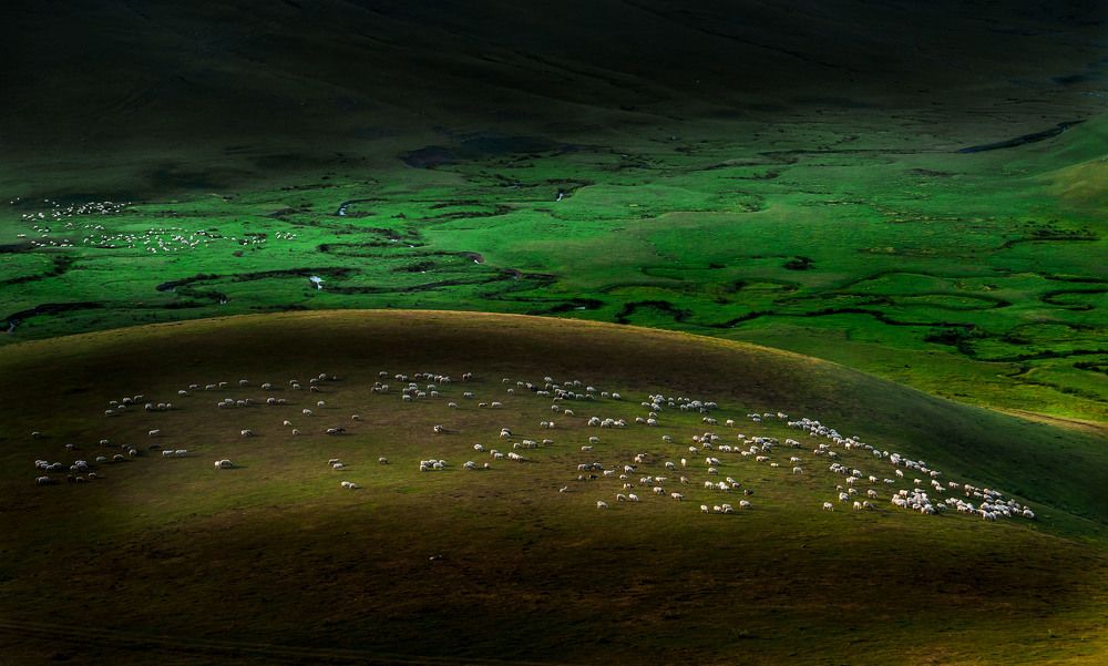 Photograph by MUHAMMET SİNAN KÖKCÜ