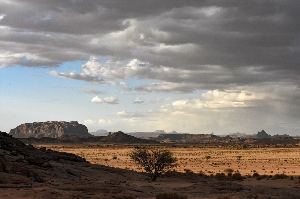 Photograph by HICHEM ZADI