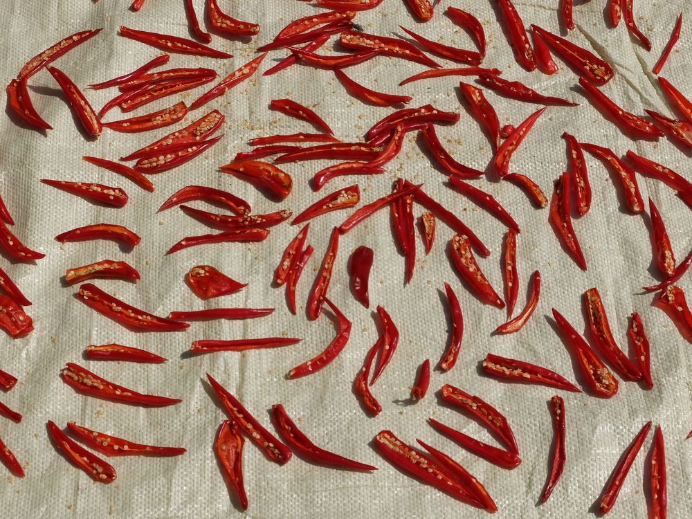 Photograph by Ирина Тен