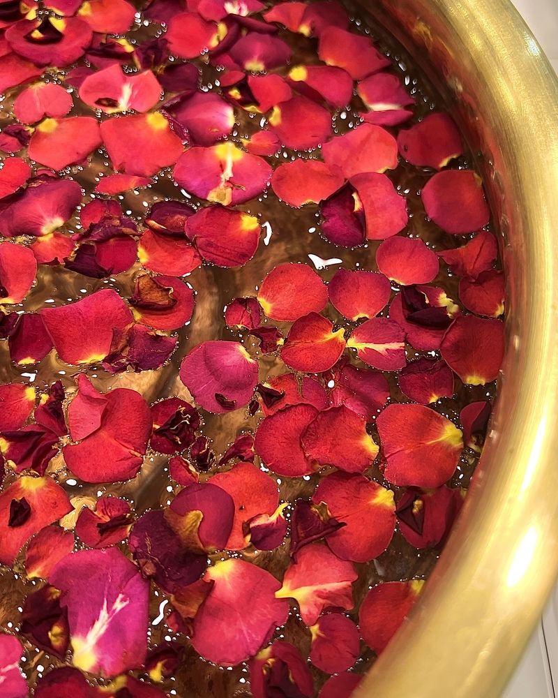 Photograph by amn_graphy_