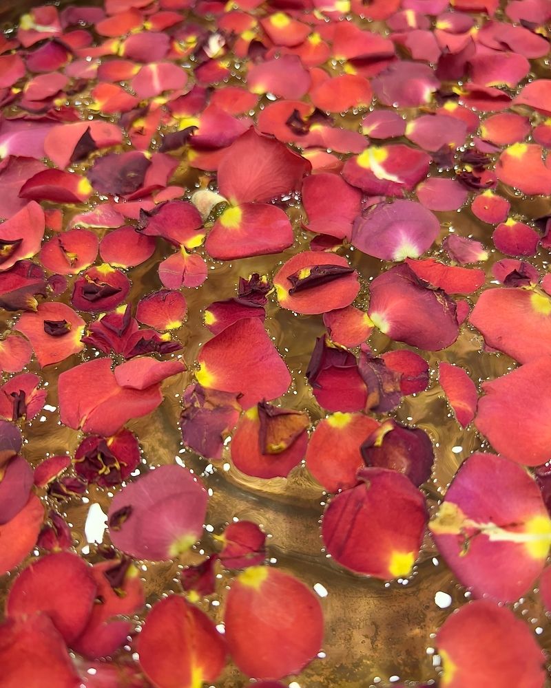 Photograph by amn_graphy_