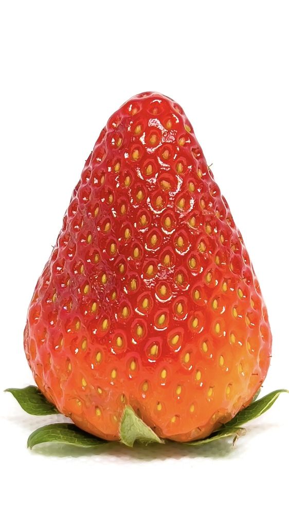 Photograph by amn_graphy_