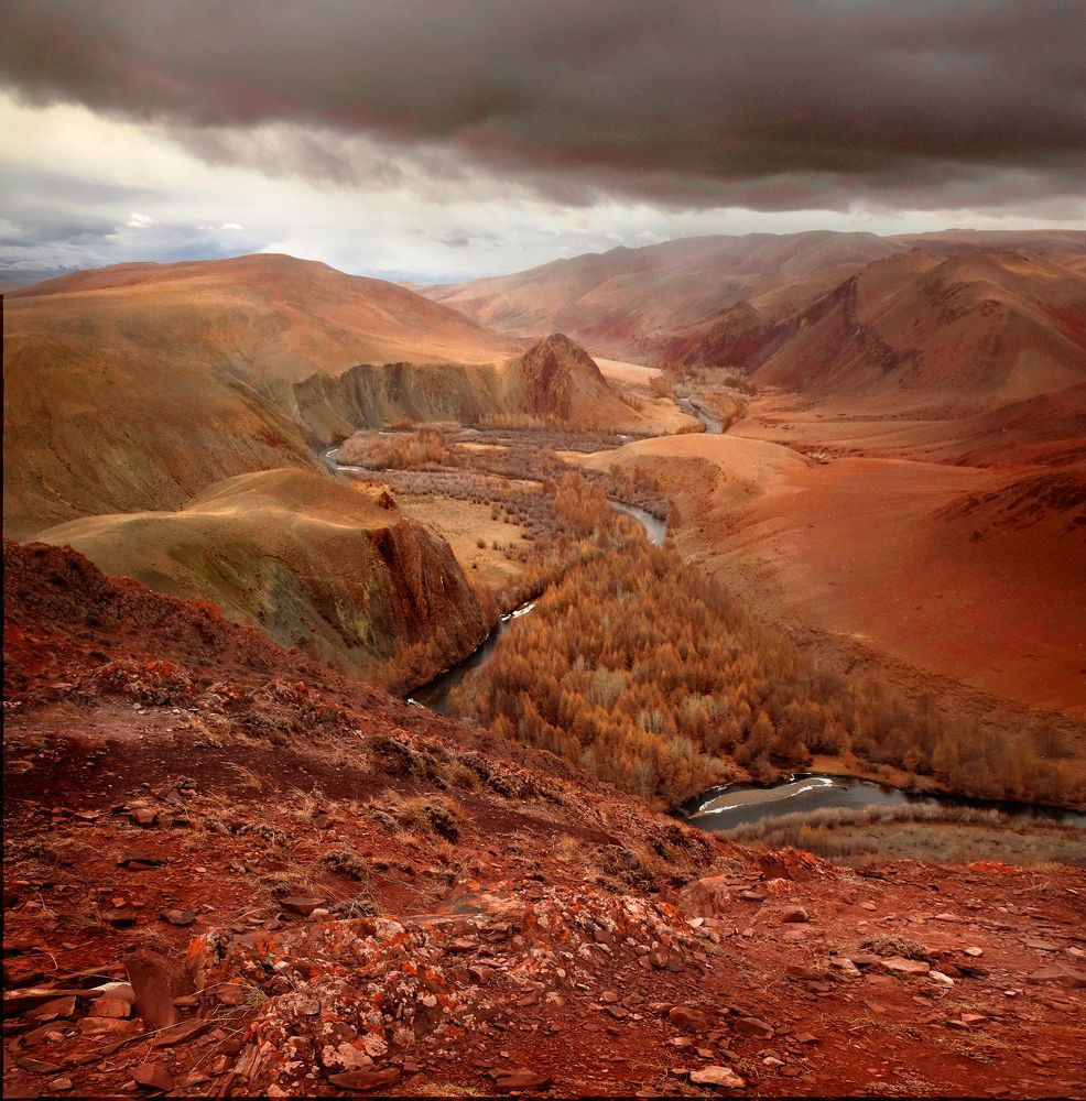 Photograph by Светлана Крат