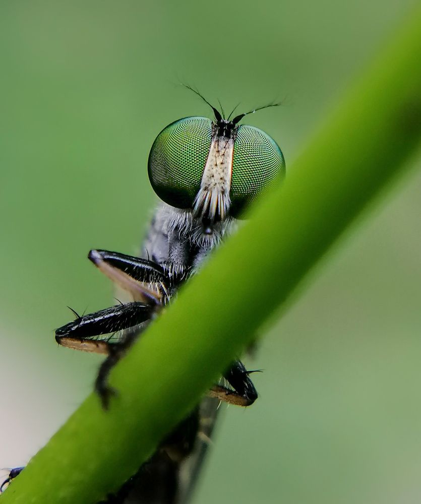 Photograph by Malinda Nipun