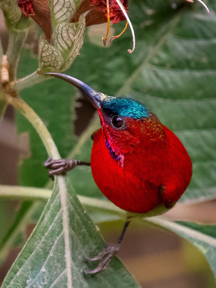 Фотография автора Grace Rani